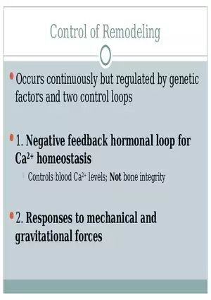 Chapter 6 Bones and Skeletal Tissue Part 2
