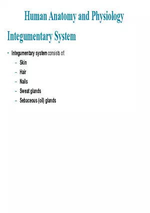 The Integumentary System