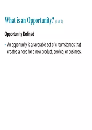 What is an Opportunity