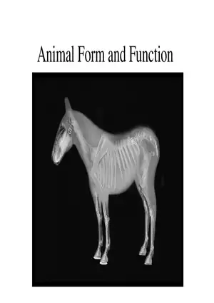 Animal Form and Function Lecture 1