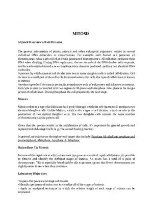 Mitosis - A Quick Overview of Cell Division