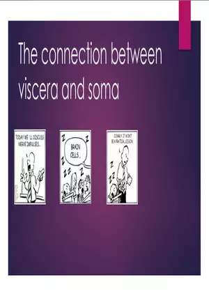 The Connection Between Viscera and Soma