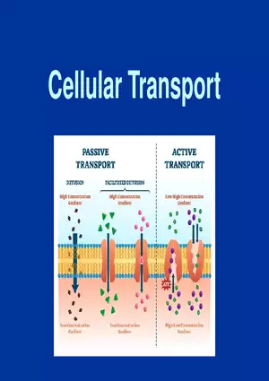 Cellular Transport Lecture Part 1