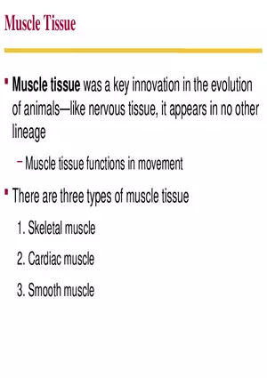 Animal Form and Function Lecture 2
