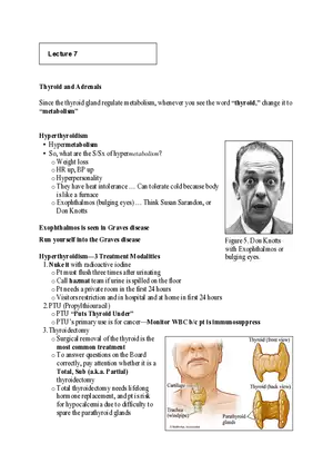 Nursing Exam Review Lecture 7 Thyroid and Adrenals