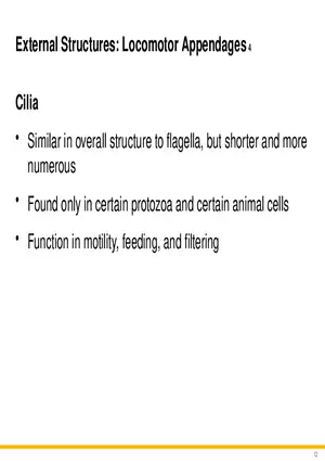 A Survey of Eukaryotic Cells and Microorganisms Part 2