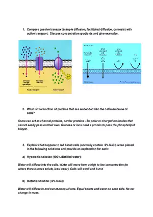 Passive vs. Active Transport How Substances Move Across Cell Membranes