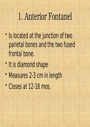 Profile of the Newborn Lecture Part 3