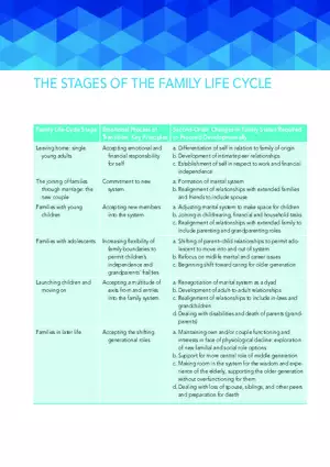The Stages of the Family Life Cycle