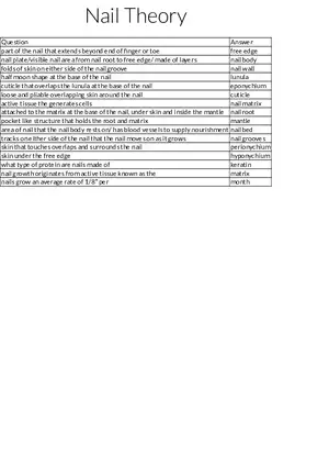 Nail Anatomy Structure and Key Terms