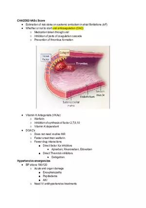 Cardiology CHA2DS2-VASc Score