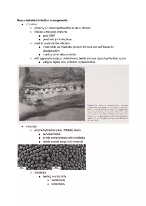 Musculoskeletal Infection Managements