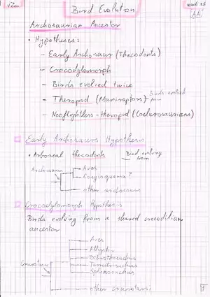 Bird Evolution