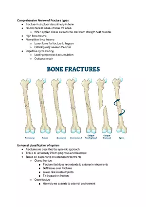 Comprehensive Review of Fracture types