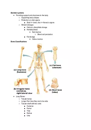 Anatomy Reading 1-1