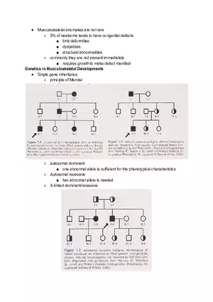 Musculoskeletal System Cheat Sheet