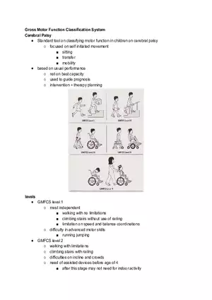 Gross Motor Function Classification System