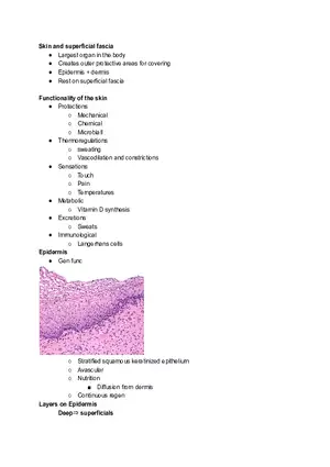 Skin and Superficial Fascia