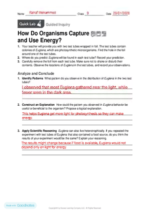 How Do Organisms Capture and Use Energy?