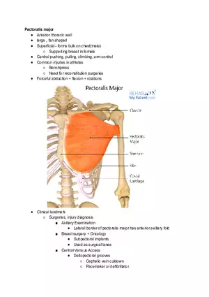 Week 7 Mid Prep Pectoralis Major