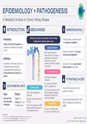 Metabolic Acidosis Infographic Set 2022