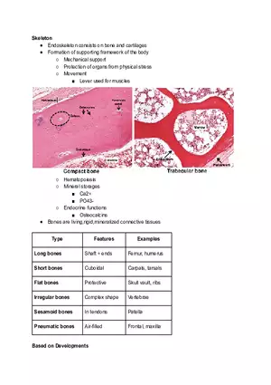 Skeleton Lecture Note