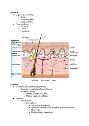 Skin Layers Reading