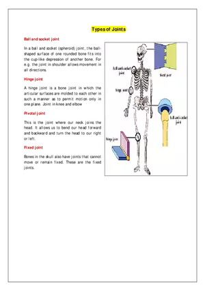 Types of Joints