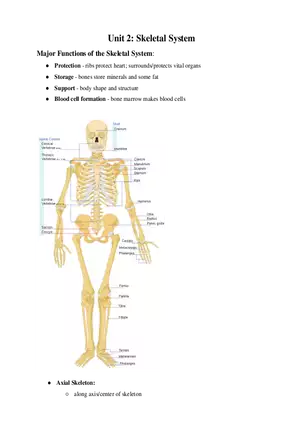 Medical Terminology Unit 2 Skeletal System
