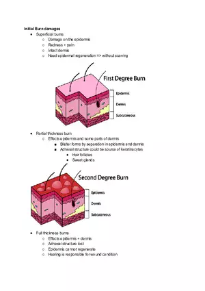 Human Skin Burn Damage