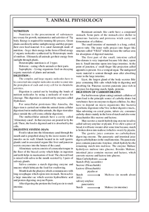 7. Animal Physiology