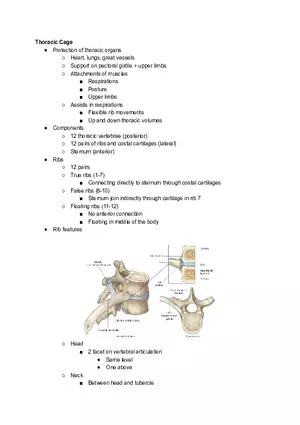 Thoracic Cage