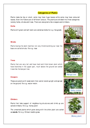 Categories of Plants