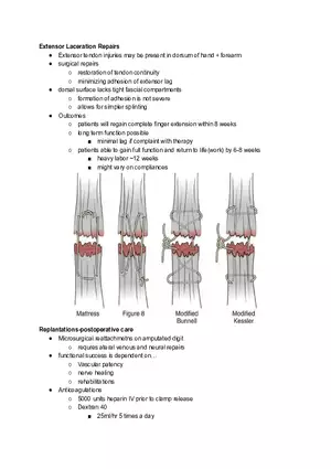 Extensor Laceration Repairs