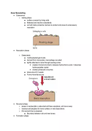 Bone Remodeling Tutorial Notes