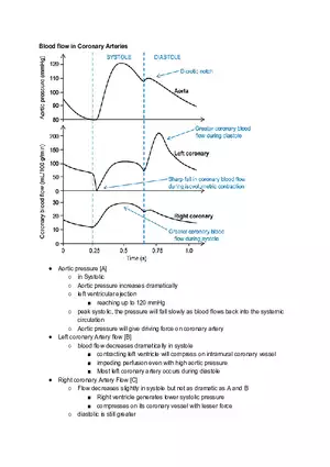 Blood Flow Lecture Note