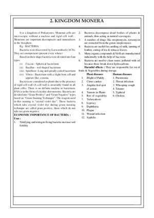 2. Kingdom Monera
