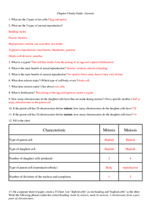 Chapter 4 Study Guide - Answers