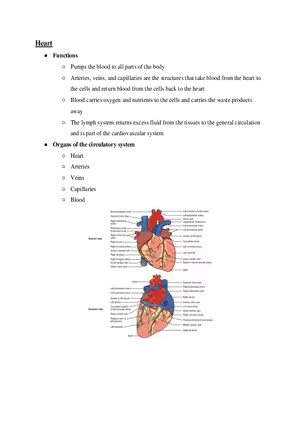 Heart Course Study Guide