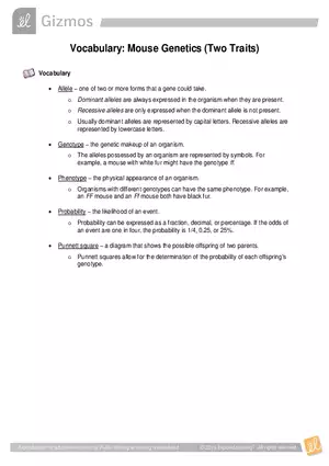 Vocabulary: Mouse Genetics (Two Traits)