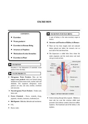 Excretion Notes