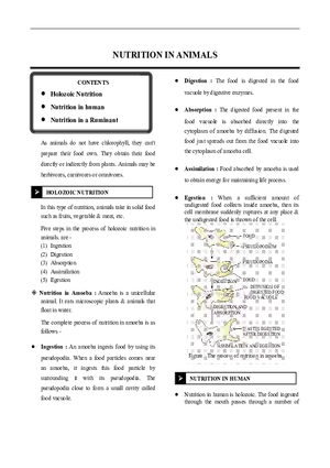 Nutrition in Animals Notes