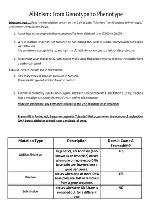 Albinism: From Genotype to Phenotype