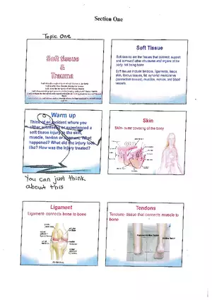 Section One Topic One