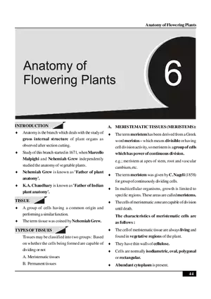 Anatomy of Flowering Plants