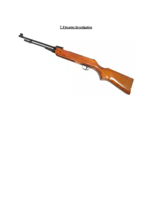 7. Firearms Investigation