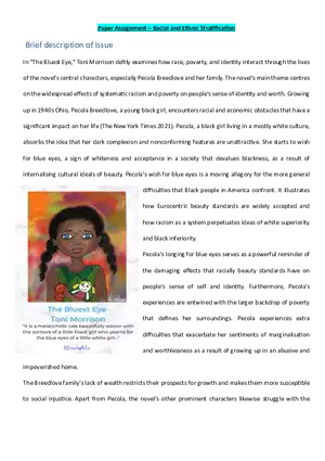 Paper Assignment – Racial and Ethnic Stratiﬁcaton