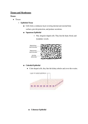Tissues and Membranes Course Study Guide