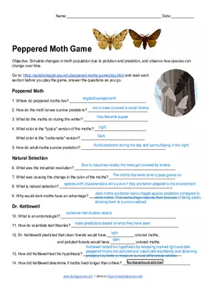 Peppered Moth Game