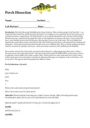 Perch Dissection